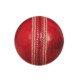 CricketCounter Icon Image