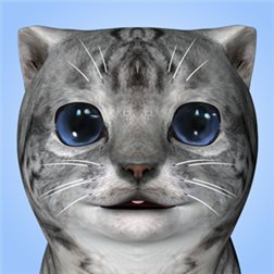 Cat Simulator Image