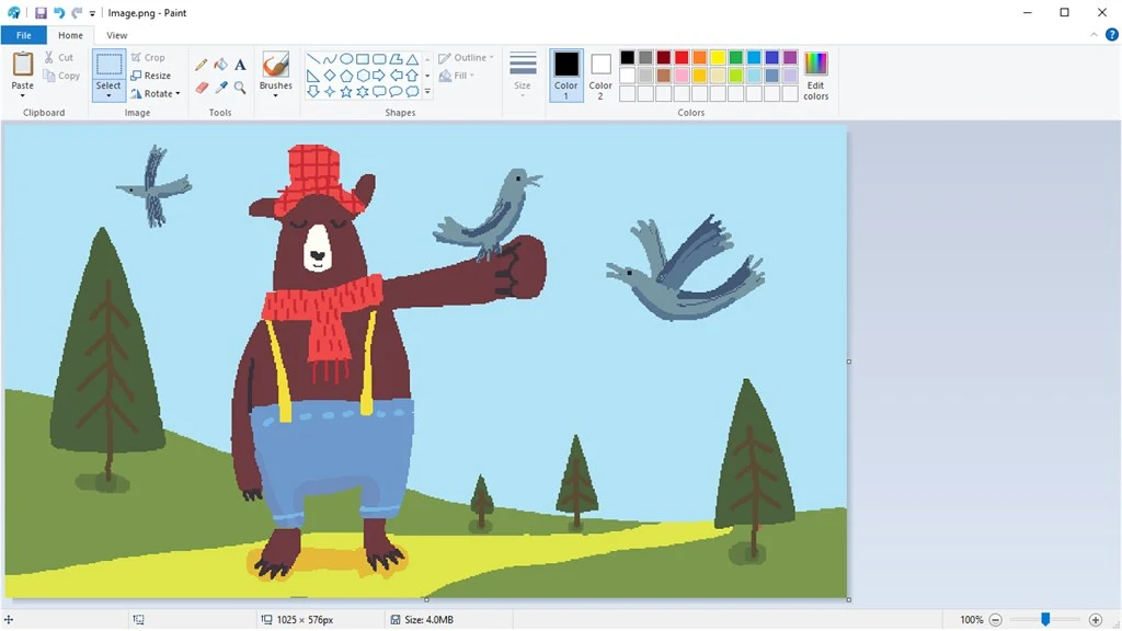 Microsoft Paint Screenshot Image