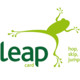 Find Leap Icon Image