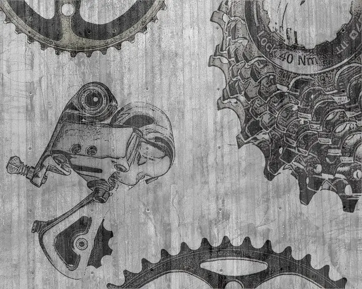 Bicycle Gears Image