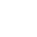 Easy Voice Recorder Icon Image