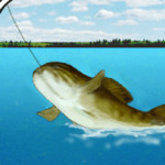 Man Fishing Image