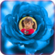 Photos In Flowers Icon Image