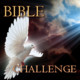 Bible Challenge Icon Image