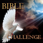 Bible Challenge Image