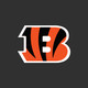 Cincinnati Bengals Mobile Icon Image