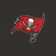 Tampa Bay Buccaneers Icon Image