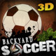 Backyard Soccer 3D Icon Image
