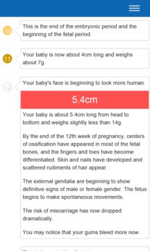 Pregnancy Timeline Screenshot Image