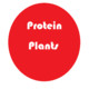 Protein Plants Icon Image