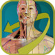 Visual Acupuncture Icon Image