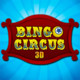Bingo Circus Icon Image