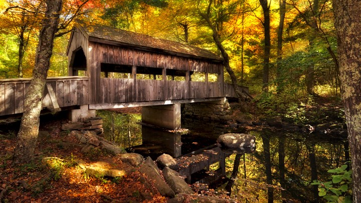 Bridges in Autumn