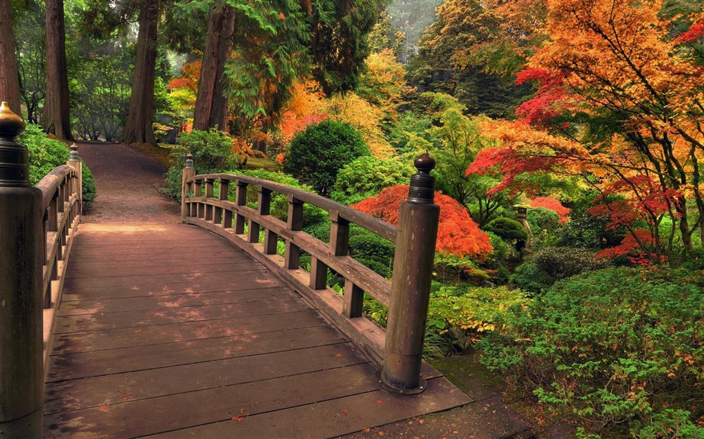 Bridges in Autumn Screenshot Image #2
