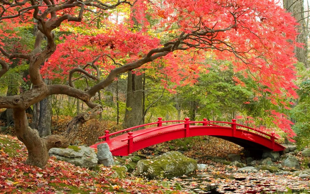 Bridges in Autumn Screenshot Image #3