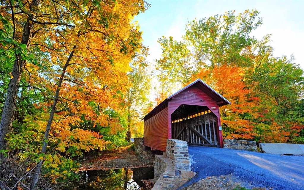 Bridges in Autumn Screenshot Image #4