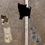 Kittens Toddlers Puzzle Image