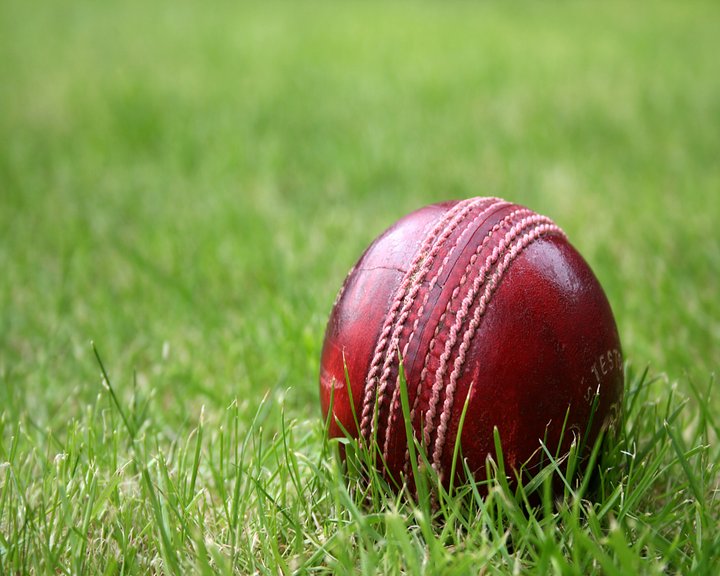 Cricket Feed Image