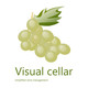VisualCellar Icon Image