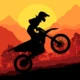 Sunset Bike Racer Icon Image