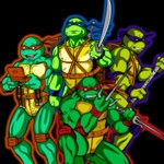 Teenage Mutant Ninja Turtle Image
