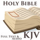 Holy Bible: KJV Icon Image