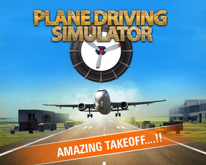 Plane Driving Simulator Image