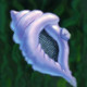 Magic Conch Icon Image