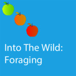 Into The Wild: Foraging