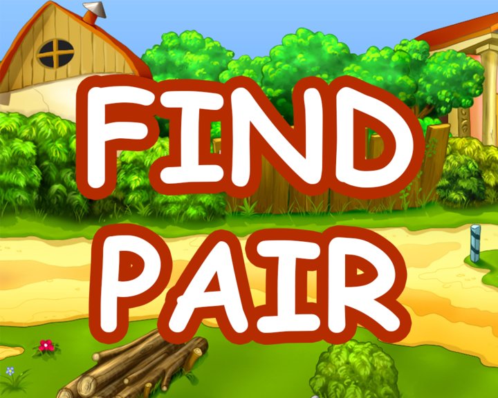 Find Pair