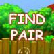 Find Pair Icon Image