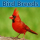 Bird Breeds Icon Image