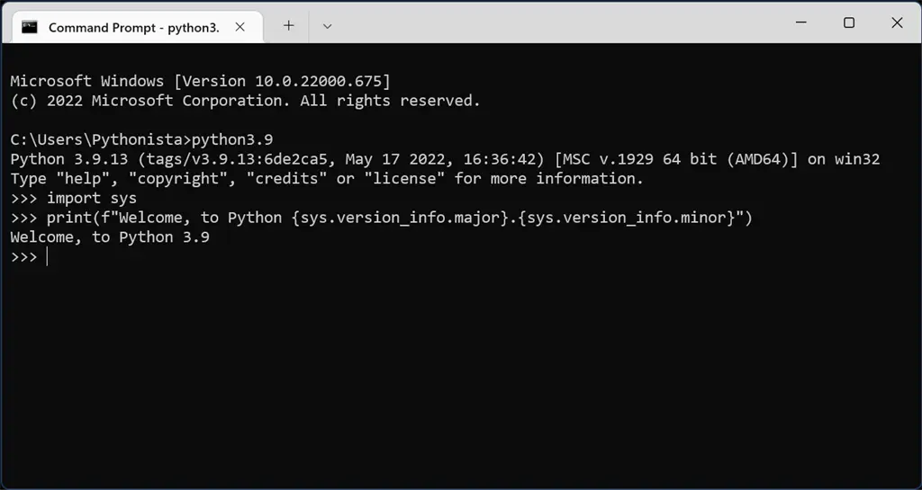Python 3.9 Screenshot Image