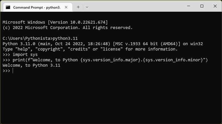 Python 3.11 Image