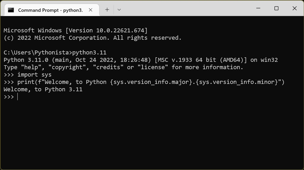 Python 3.11 Screenshot Image