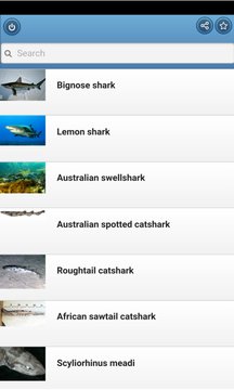 Directory of Sharks
