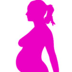Pregnancy Calendar Image