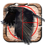 Forest Crow Hunting Image