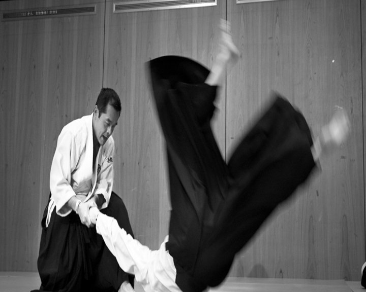 Learn Aikido Image