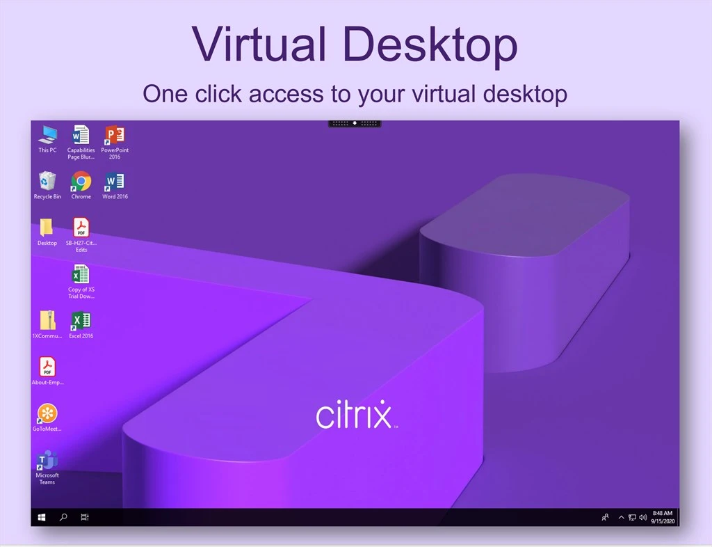 Citrix Workspace Screenshot Image #4