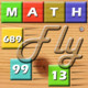 Math Fly Icon Image