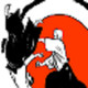 Noticias Aikido Icon Image