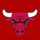 NBA Chicago Bulls Icon Image