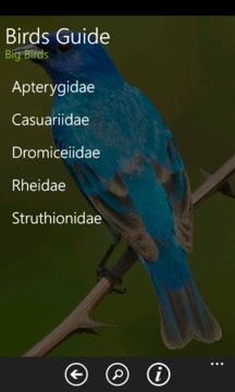 Birds Guide Screenshot Image