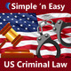 US Criminal Law Icon Image
