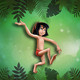Jungle Book Adventure Icon Image