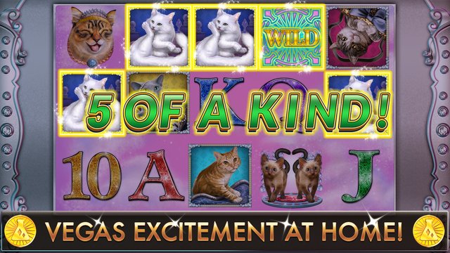Slot Casino - Glitzy Kitty  Slots Screenshot Image