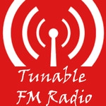 Tunable FM Radio Image