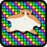 Hamster Disco Life Jump